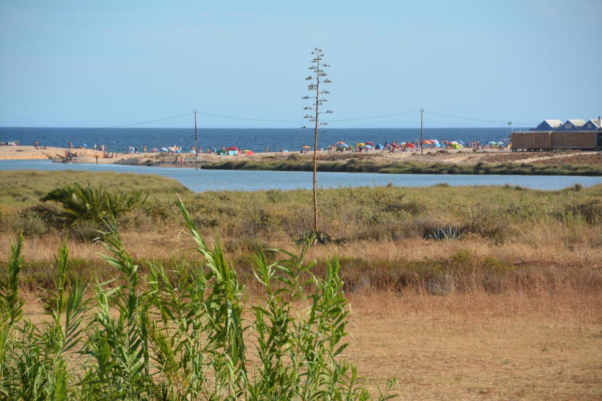 Praia Dria Armação de Pêra Eksteriør bilde